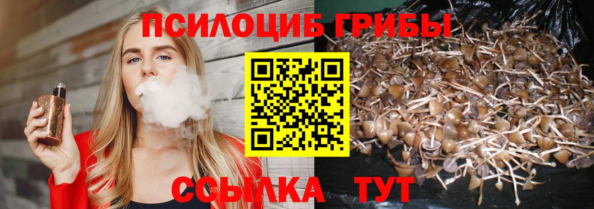 Галлюциногенные грибы прущие грибы Воткинск