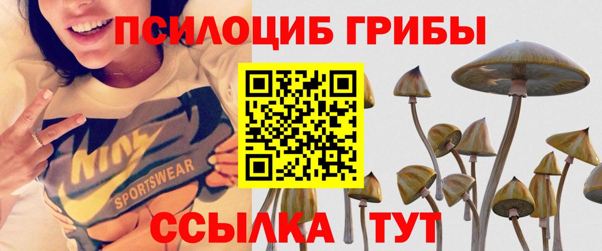 Псилоцибиновые грибы прущие грибы  Псилоцибиновые грибы GOLDEN TEACHER  Воткинск  Вход с VPN 